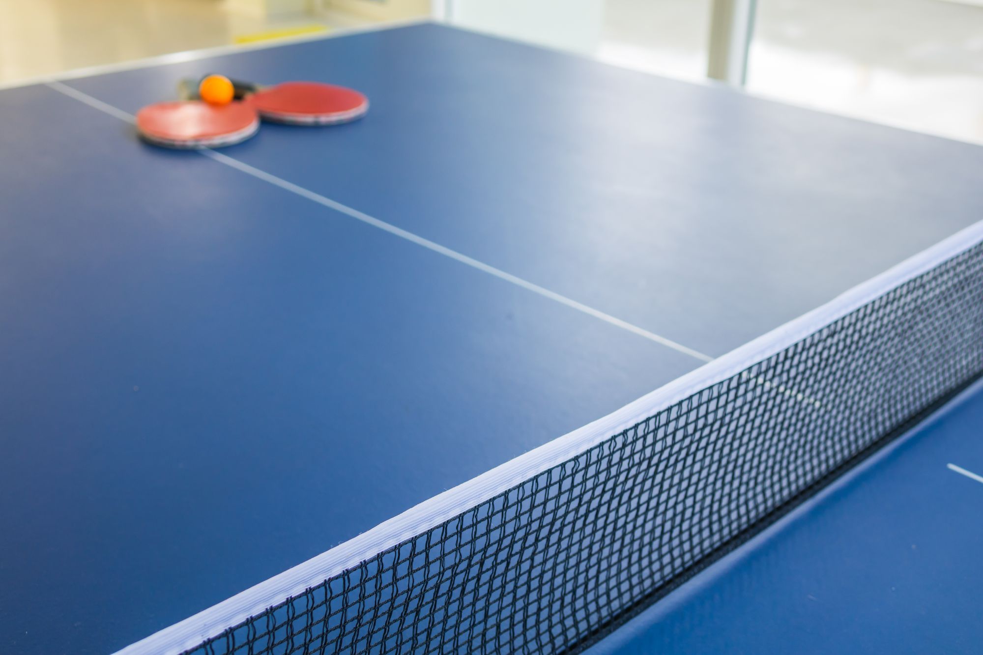 Why Are Ping Pong Tables So Expensive?