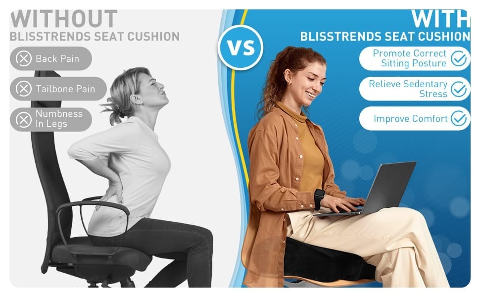 BlissTrends Memory Foam Seat Pillow