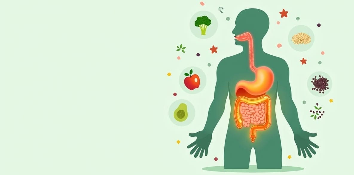 Fiber's Role in a Healthy Gut