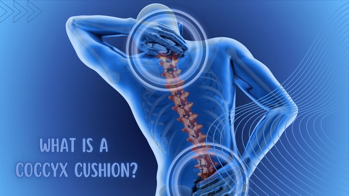 What Is A Coccyx Cushion? How It Works & Why You Need One