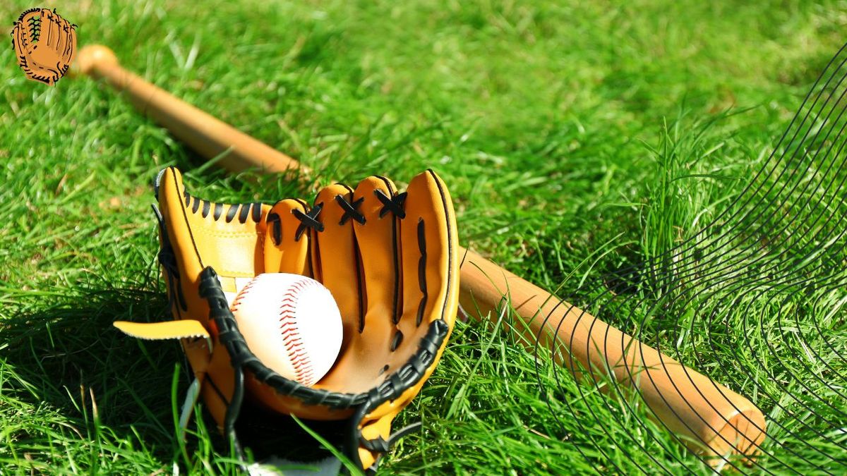 Infield Baseball Gloves: The Secret Sauce to Catching Dreams!