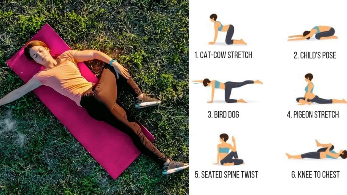 Stretches For Lower Back Pain - A Guide to Relief