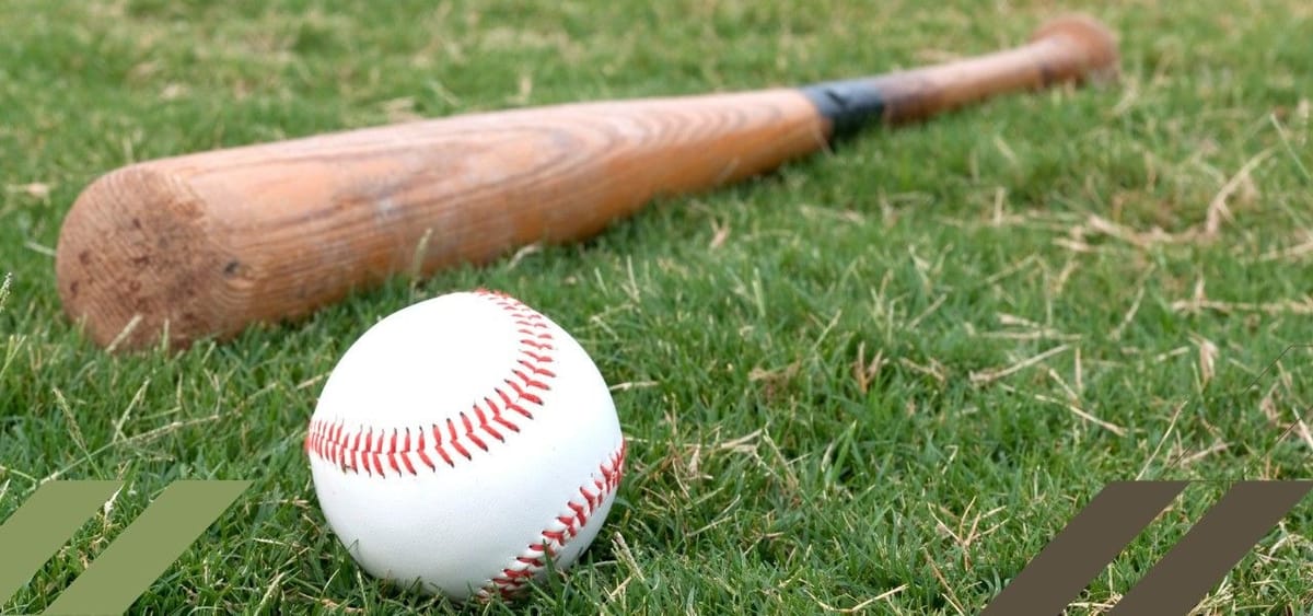Victus Wood Bat: The Perfect Blend of Power & Precision