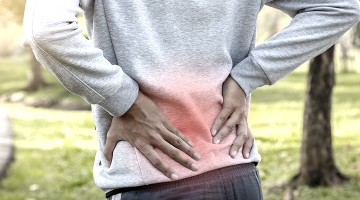 Vertebrogenic Low Back Pain