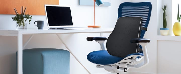 Back Pain Fix with Coccyx Cushion